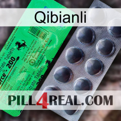 Qibianli new04